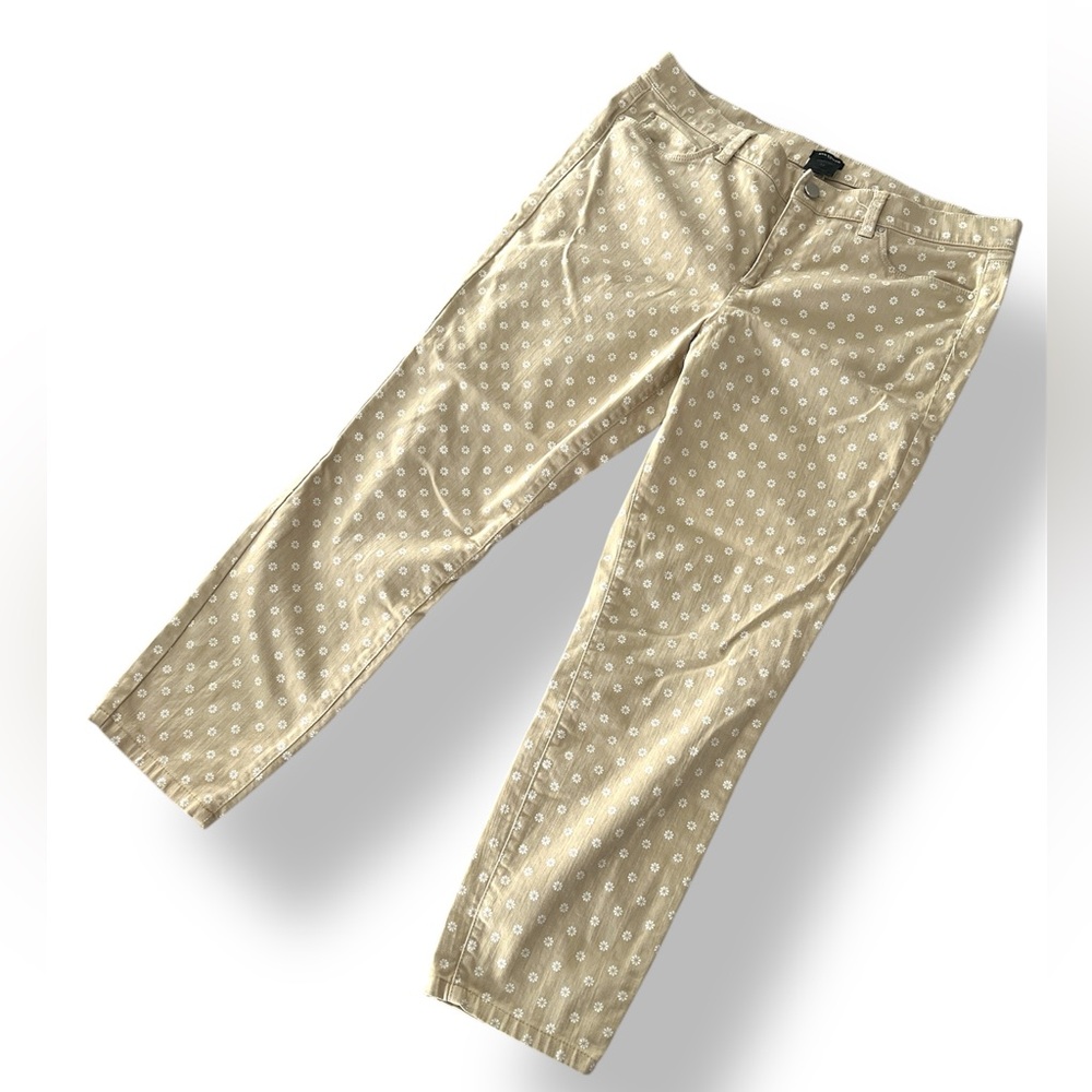 Ann Taylor Capris